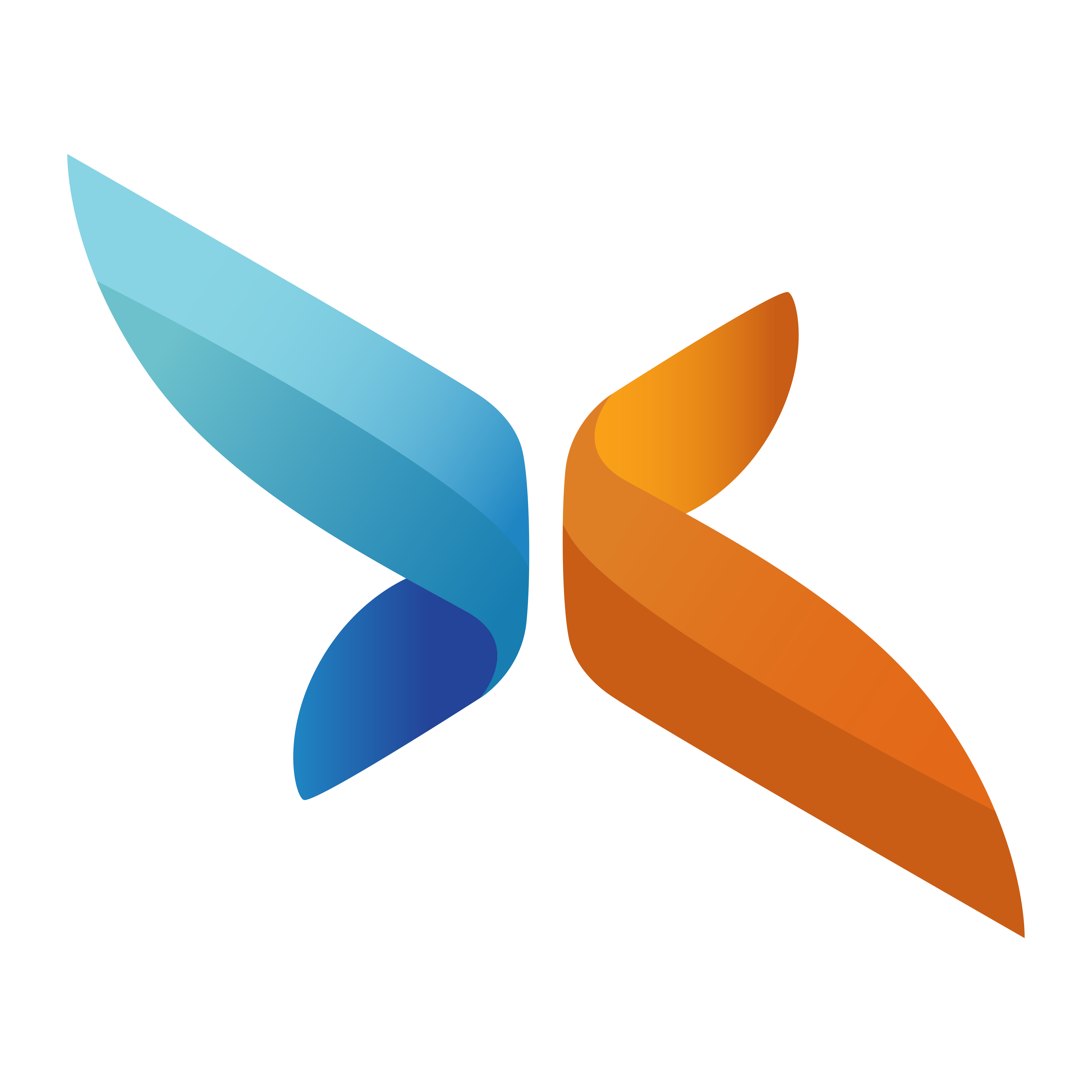 Logo Pro Business Congo